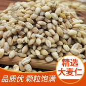 大麦仁500克非小麦仁去皮大麦米粗粮五谷杂粮煮粥饭原料新鲜