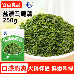 光庆即食马尾藻万岁藻新鲜鞭炮笋拌菜火锅料头茬嫩菜盐渍海草250g