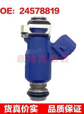 适用于 雪佛兰 喷油嘴 燃油喷射器 Fuel Injector 24578819