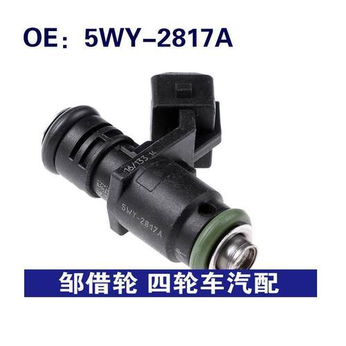 5WY2817A适用于标志起亚喷油嘴燃料喷嘴5WY-2817A 9301N07824