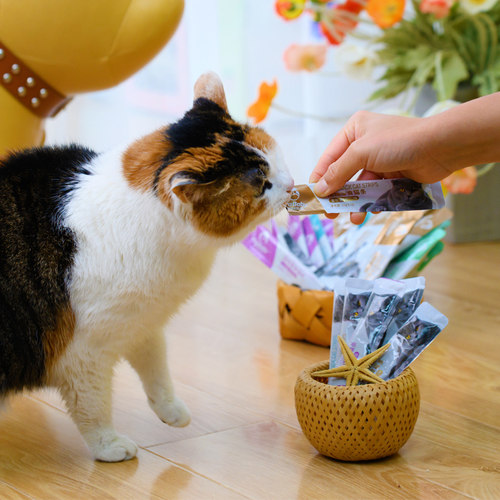 咿呀贝贝猫条猫零食条