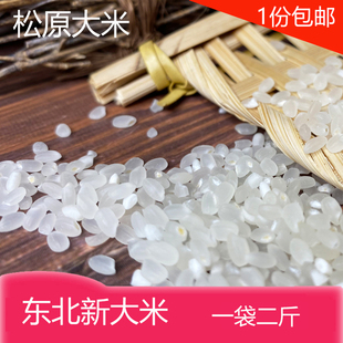 2025年新大米东北松花江水灌溉自家种植不抛光小粒香红光10斤包邮