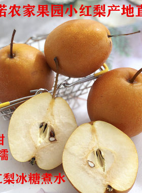 魏县当季土红5斤煮水咳嗽梨子