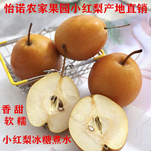 红梨咳嗽当季新鲜水果5斤包邮魏县小酸红梨宝宝冰糖煮水硬铁皮梨