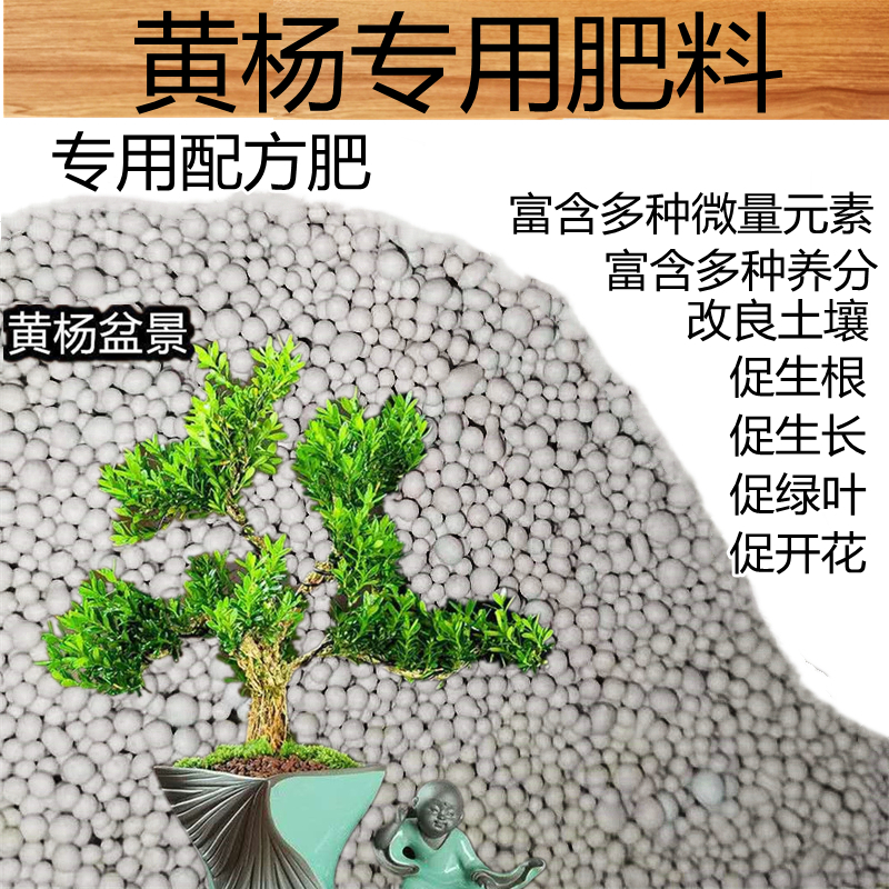 黄杨树苗专用肥料花肥老桩瓜子雀舌米叶珍珠黄杨复合有机营养化肥