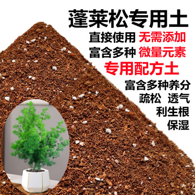 蓬莱松专用土松叶文竹盆栽营养土室内绿植花卉通用型有机土促销