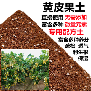 黄皮果专用土盆栽酸性沙质泥炭红土壤黄皮果树绿植种植营养土肥料