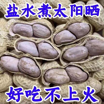 【26年新水煮】正宗龙岩花生水煮日晒咸干花生软糯鲜甜好吃不上