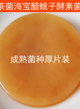 正宗红茶菌母菌海宝胃宝醋蛾子母醋水果酵素菌种 Kombucha Scoby