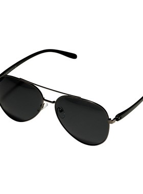 温州市珍视光学飞行员偏光墨镜