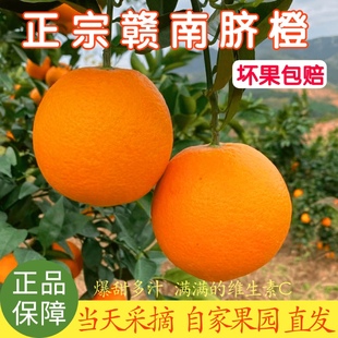 正宗江西赣州安远赣南脐橙20斤橙子新鲜孕妇水果10斤带叶产地直发