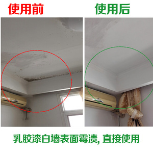 墙壁除霉剂墙体墙面白墙纸霉菌清除剂卫生间厨房发霉去霉斑防霉剂