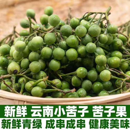 小苦果苦茄小圆幼青茄苦凉小茄子