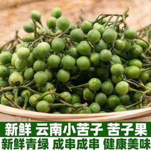云南苦果 野生小苦果苦茄小圆幼青茄苦凉野果新鲜蔬菜野生德宏1斤