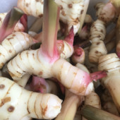 泰国冬阴功咖喱新鲜南姜良姜高良姜冬荫功汤原料白皮南姜泰国南姜