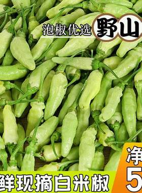 农家自种新鲜现摘野山椒辣椒