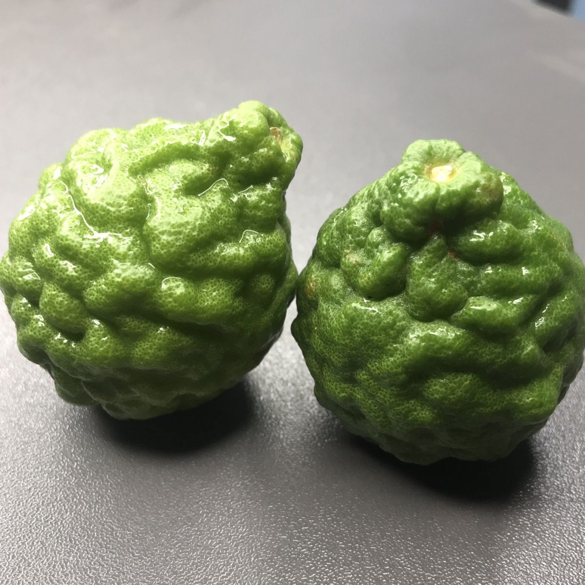 粗皮柠檬马蜂橙皱皮柠檬泰国菜