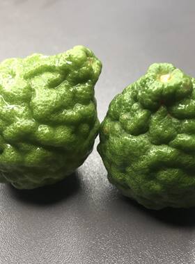 粗皮柠檬马蜂橙皱皮柠檬泰国菜
