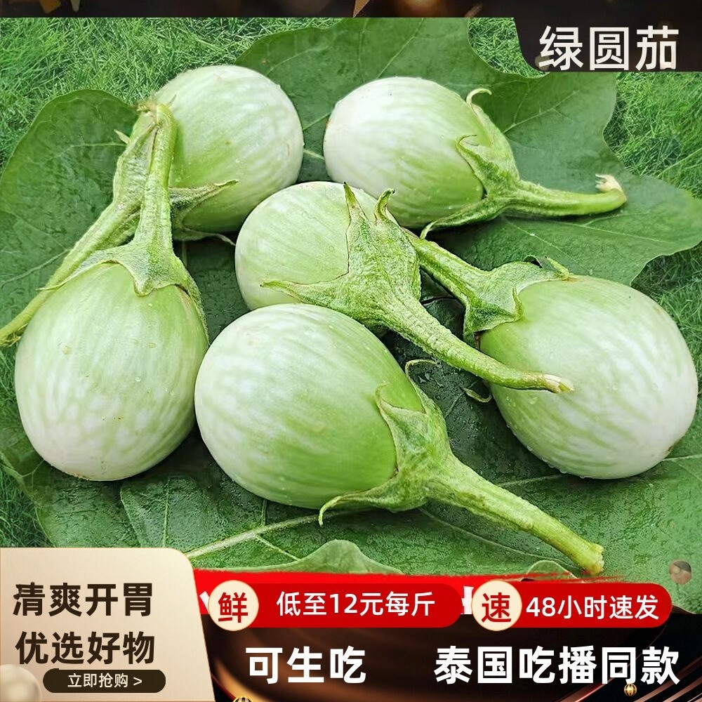 新鲜泰式大圆茄脆茄圆茄咖喱茄子东南亚餐厅食材泰国菜原料可生吃