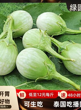 泰国生吃大圆茄新鲜茄子咖喱茄