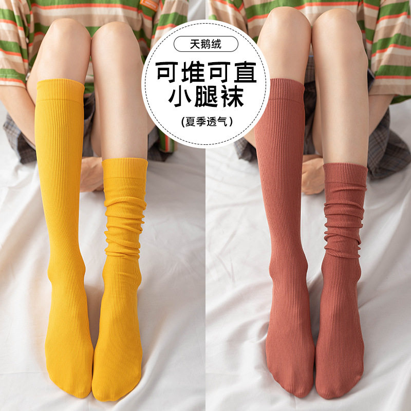 金宗春夏薄款小腿袜子女天鹅绒彩色糖果色不透防勾丝日系棉感中筒