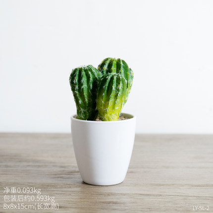 创意小清新可爱迷你植物盆栽 电脑桌室内办公桌面多肉装饰品摆件