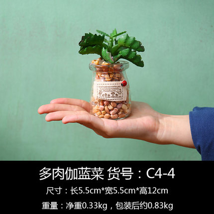 创意仿真盆栽植物小摆件室内客厅绿植玻璃盆景摆设置物架窗台装饰