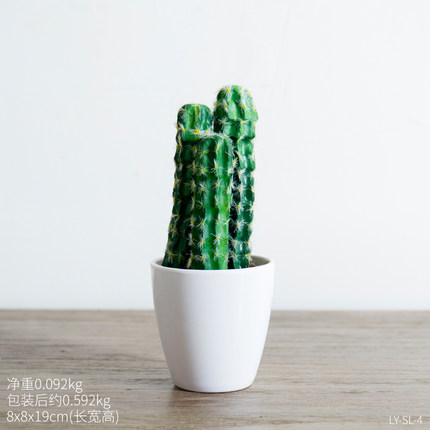 创意小清新可爱迷你植物盆栽 电脑桌室内办公桌面多肉装饰品摆件