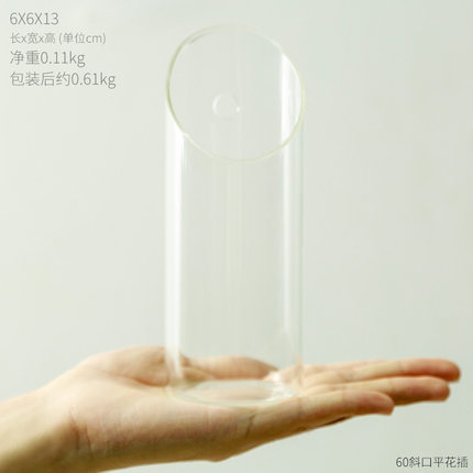 创意个性墙上水培插花花瓶壁挂玻璃透明干花小清新墙壁装饰品挂件