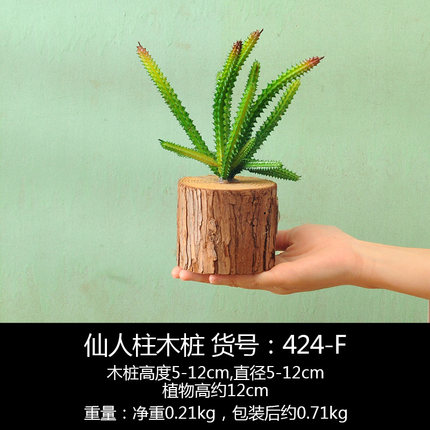 复古创意奶茶店墙上田园风墙面装饰品仿真植物挂饰家居墙饰小挂件