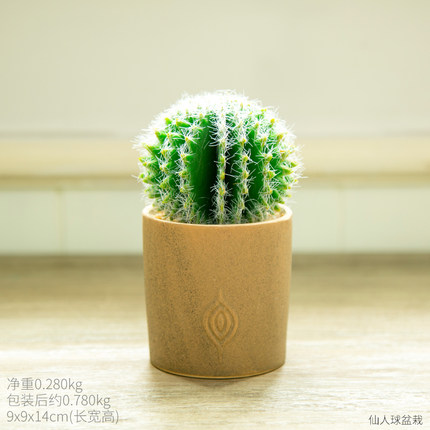 创意仿真植物摆设个性家居客厅房间卧室盆栽置物架盆景装饰品摆件