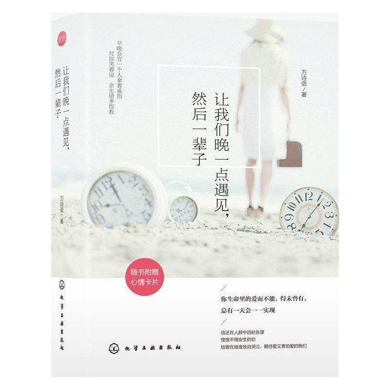 正版包邮 让我们晚一点遇见然后一辈子万诗语著 青春文学故事集文艺 爱情感小说 zhi愈系情感美文