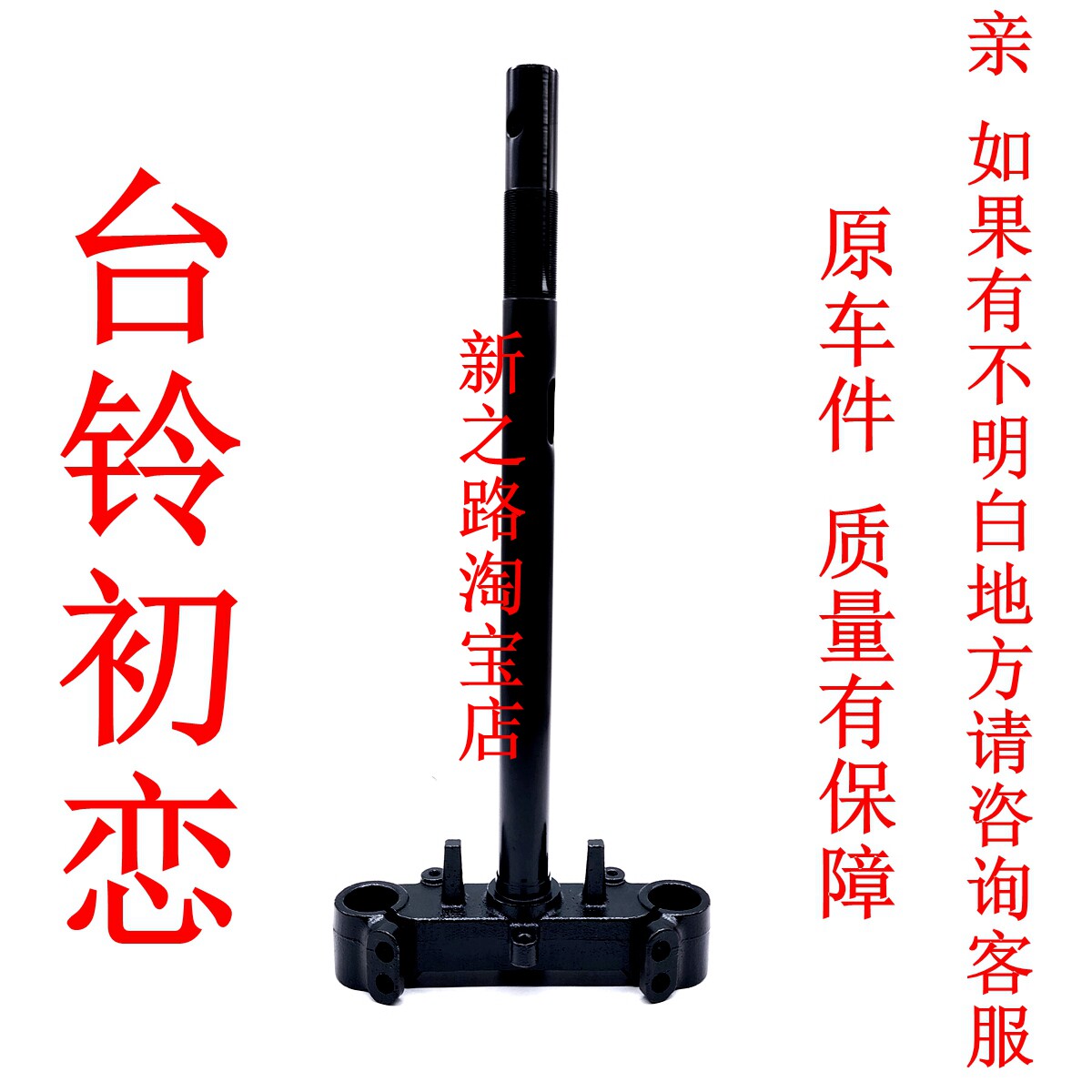 台铃初恋EB电动车原厂方向器图片