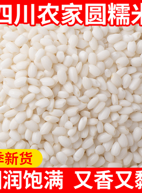 糯米五斤杂粮圆园粒新米非东北江米纯正大香粽子专用精选2025