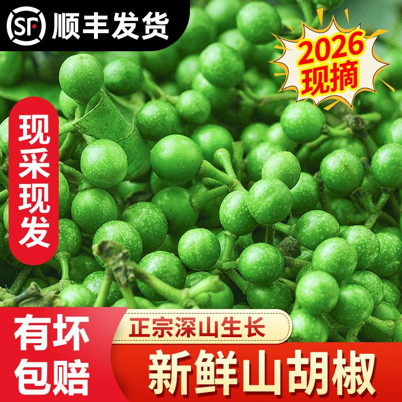 2026山胡椒新鲜木江子做山胡椒辣椒四川特产木姜子食用现采