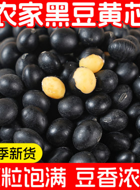 黄心黑豆生的新货打豆浆专用杂粮老品种农家优质黑小豆纯正生豆类