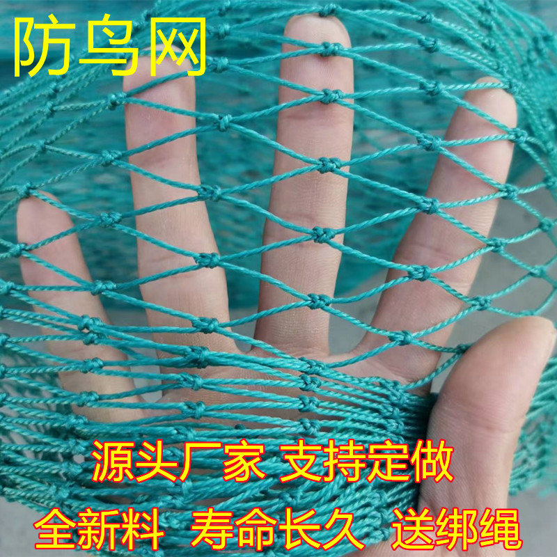 防鸟网山鸡网尼龙养殖网围栏网菜农用防鸟网
