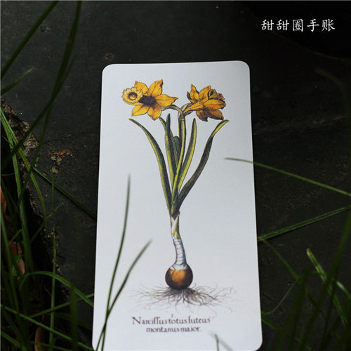 包邮concertino植物送收纳袋书签
