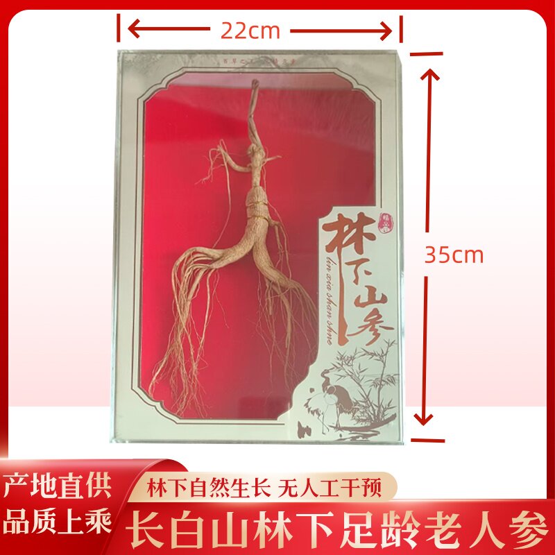人参长白山林下参籽货野山参老山参生晒干人参礼盒泡酒参人叁