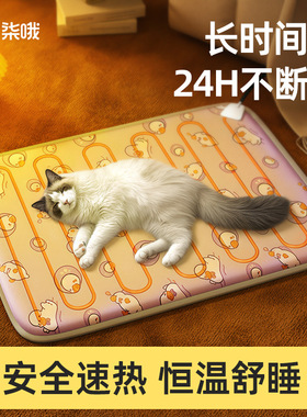 宠物电热毯狗狗恒温防漏电防咬取暖器猫咪加热垫宠物垫用品批发
