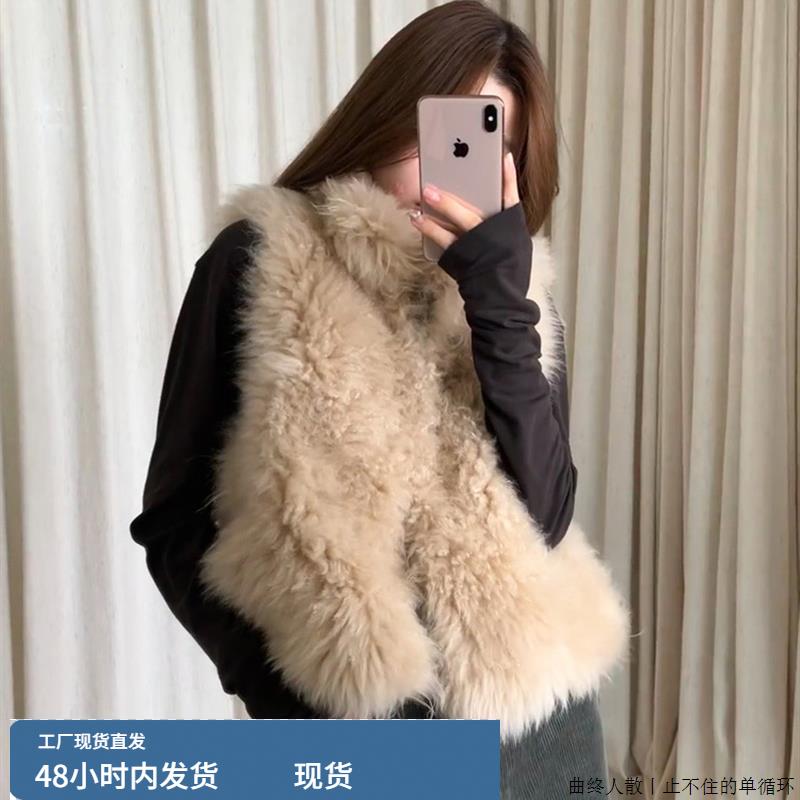 高级感彷狐狸毛马甲女秋冬新款设计感小众无袖坎肩背心外套上衣潮