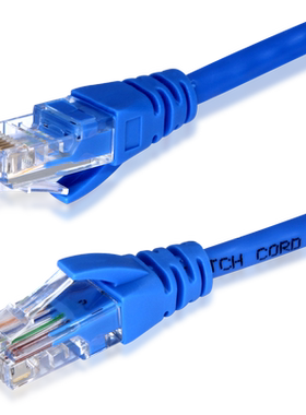 Delippo 五类网线 纯铜百兆网络跳线 3米 高速宽带线网线 超5类电脑路由器彩色网线 蓝色 10米