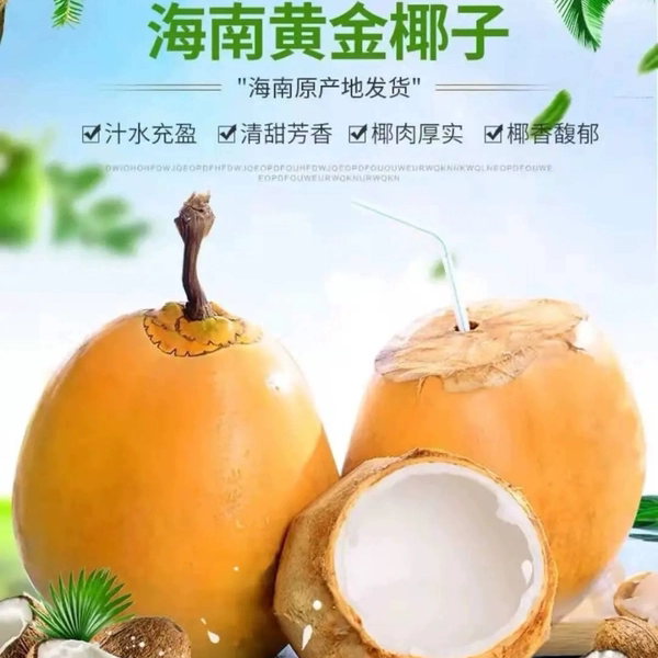 海南新鲜黄金椰子9个装 带皮红椰孕妇水果当季热带水果包邮
