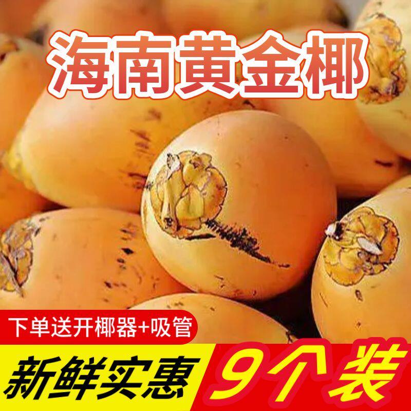 海南黄金椰子新鲜椰子椰青孕妇儿童水果特产当季一整箱产地直发