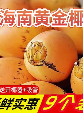 海南黄金椰子孕妇水果产地直发