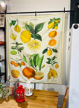 美国艺术家柑橘柠檬citrus美国Cavallini复古美式乡村背景布挂布