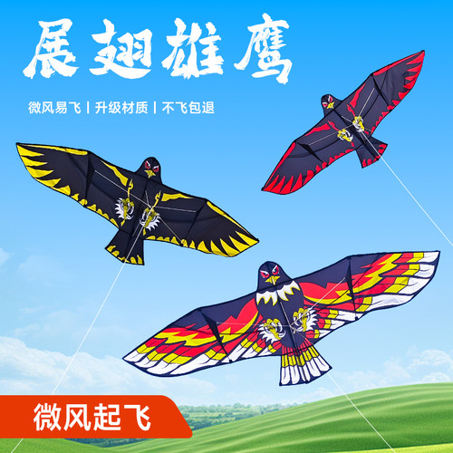 板鹰风筝微风好飞老鹰风筝