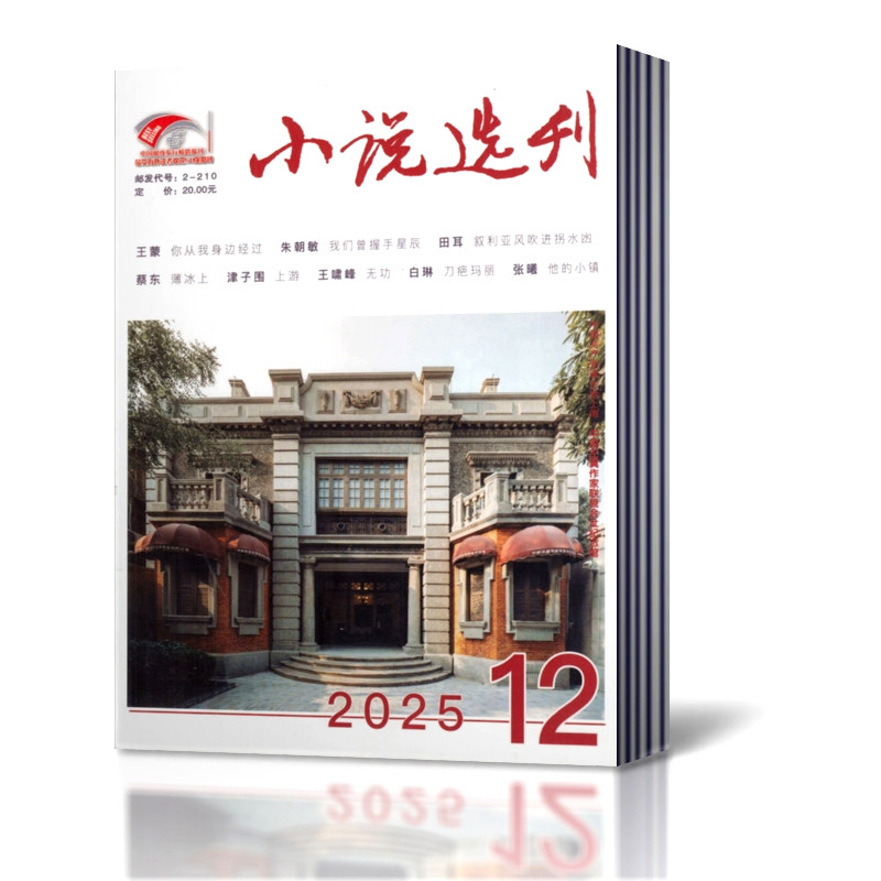 小说选刊杂志2025年/2024年/2023年/2022年/2020年 非合订本 文摘文学阅读书籍中国作家协会主管书籍期刊 - 实物图