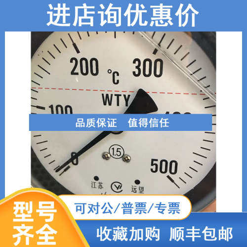 JIANSU YUANWANG 压力式温度计 WTY-403 0-500℃ 250mm