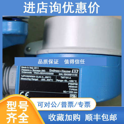 恩德斯豪斯 温度传感器 TMT181-A  TR24-AB2AXGG000